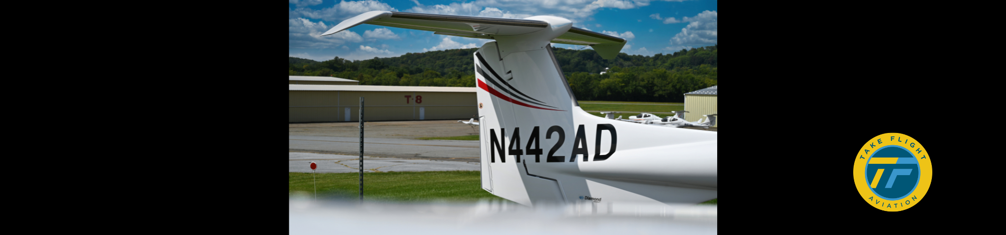 2007 DIAMOND DA42