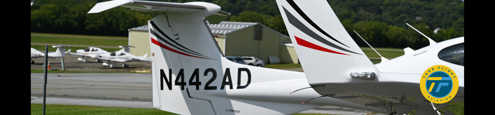 2007 DIAMOND DA42