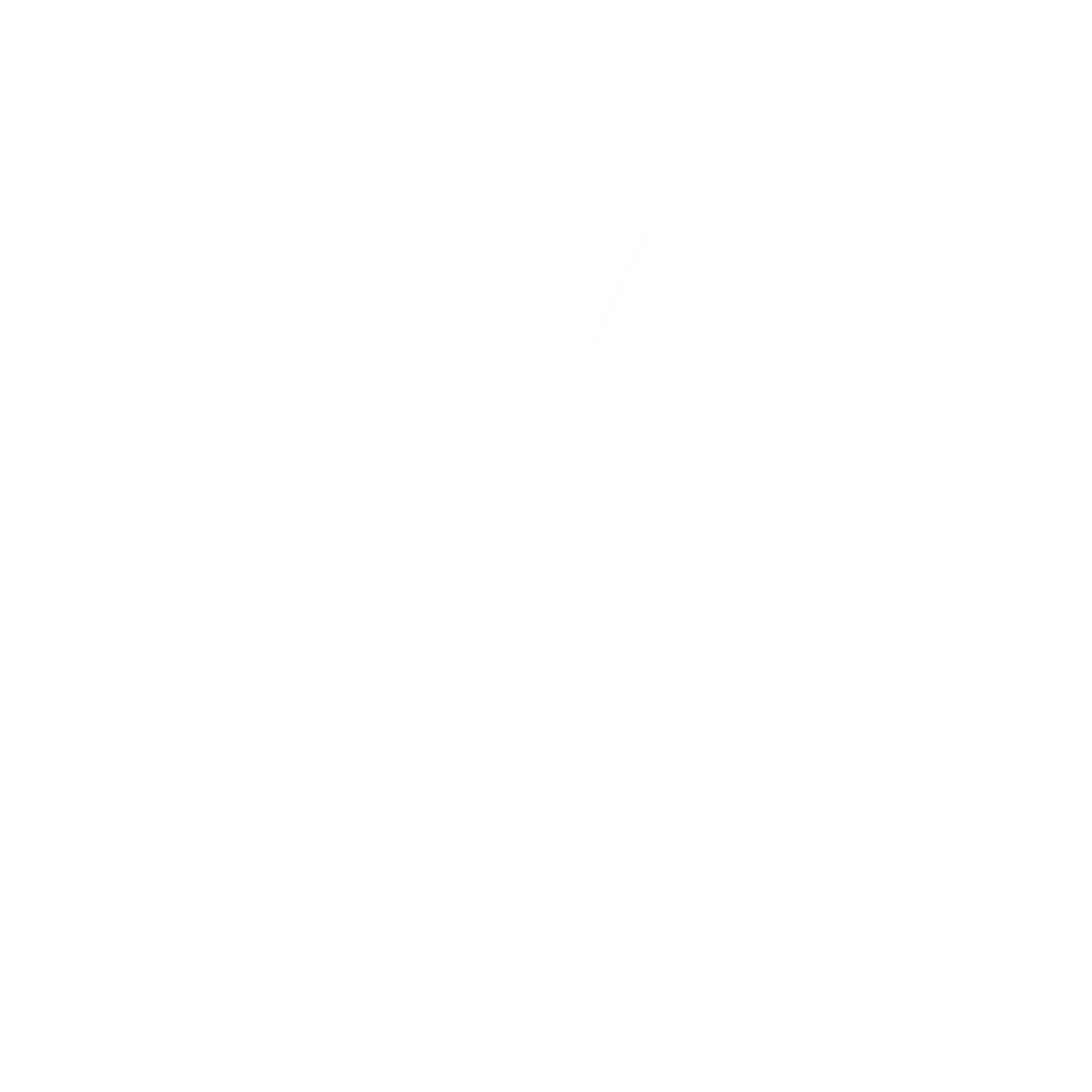 Take Flight Aviation